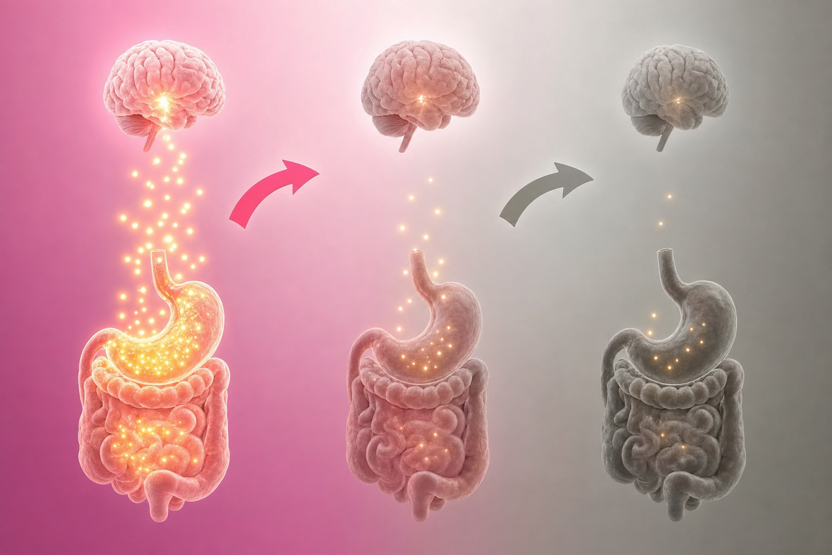 How Lemora turns your natural fullness switch back up